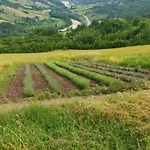 Gasthof La Finestra Sul