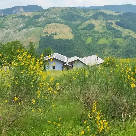 La Finestra Sul