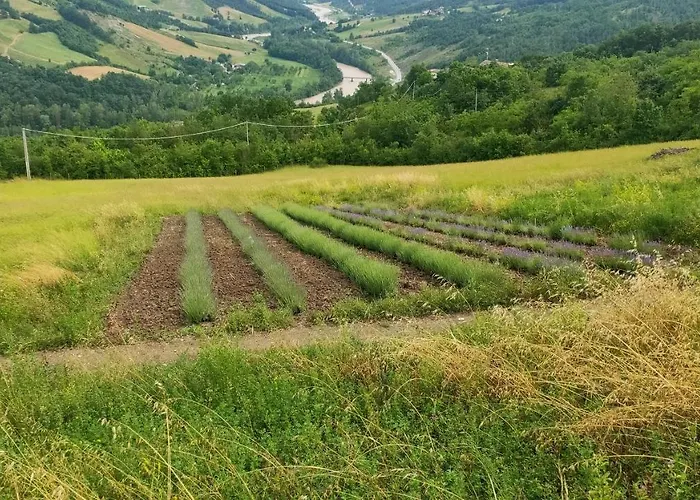 بيت ضيافة La Finestra Sul